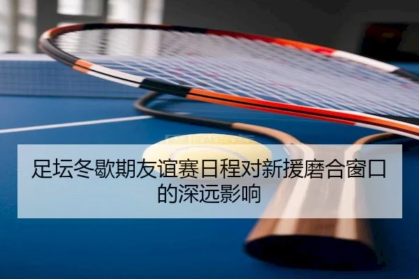足坛冬歇期友谊赛日程对新援磨合窗口的深远影响